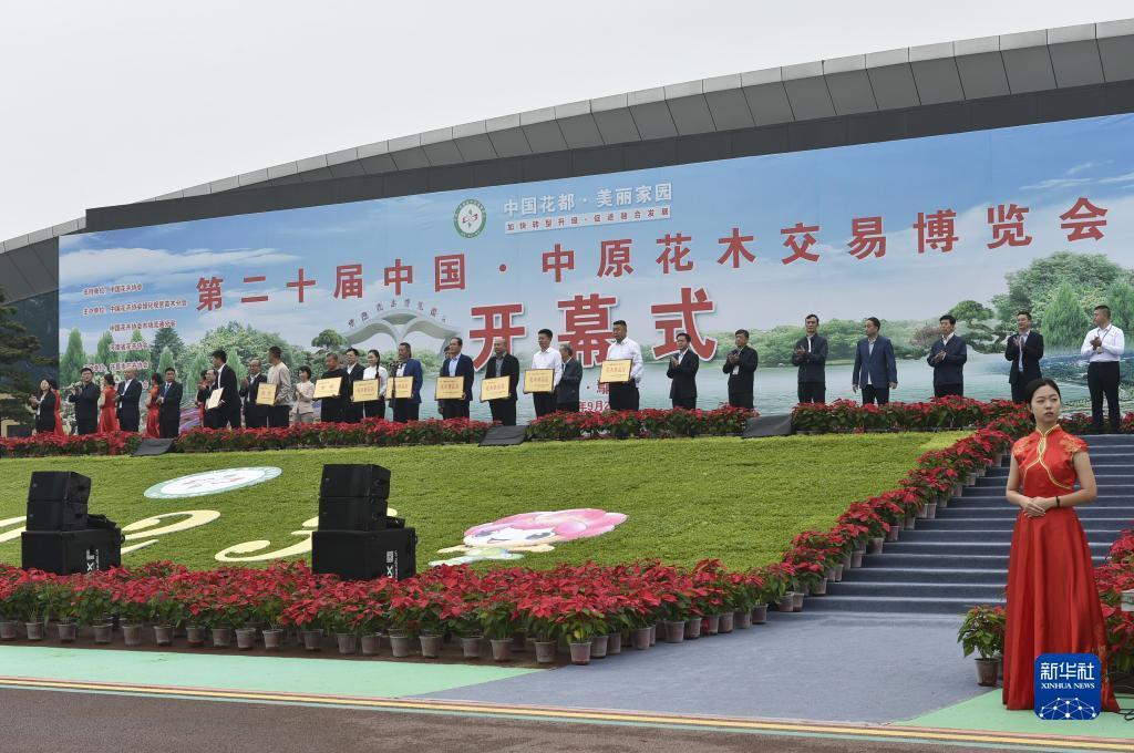 鑫汇国际v1.0-登录